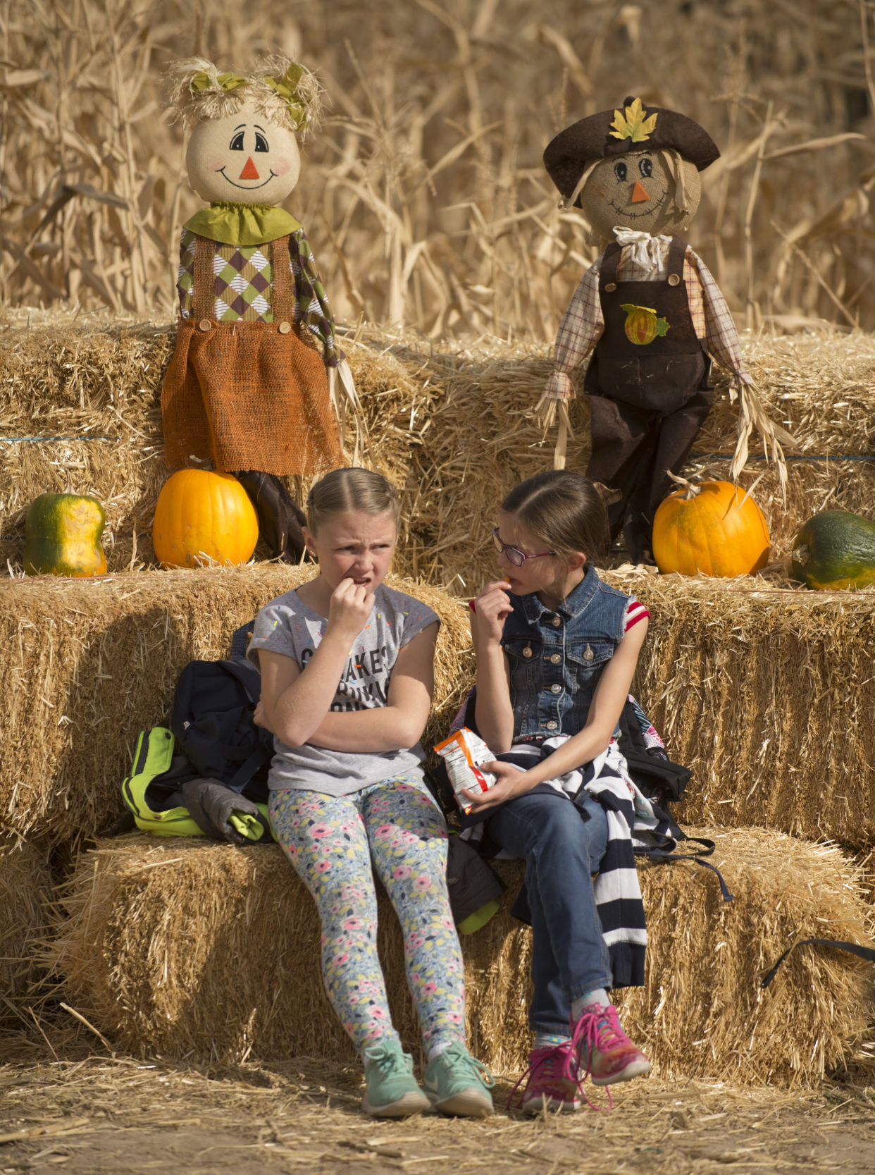 Magic Valley Corn Maze